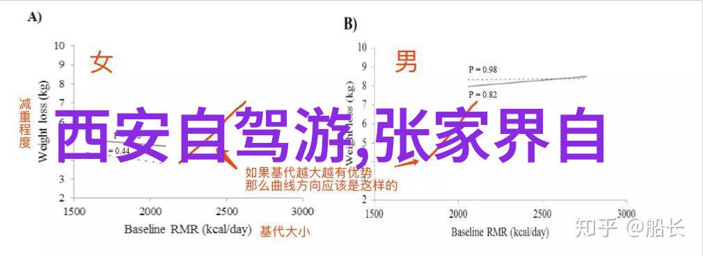 云南旅游攻略景点大全 - 探秘云南一站式旅行指南