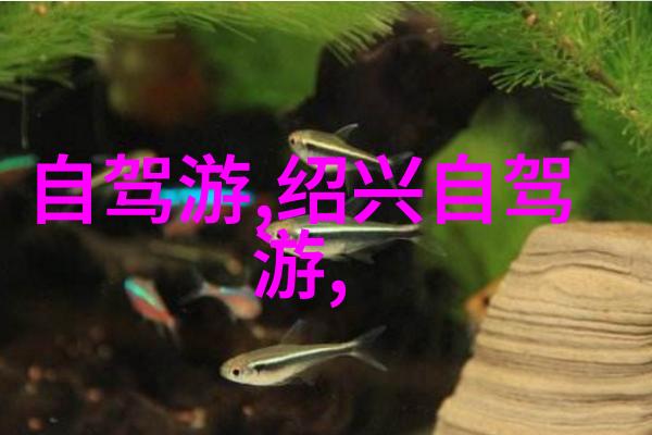 时间旅行者挑战如果能体验过所有这100款古老现代混合式主题公园里的游戏会怎么样