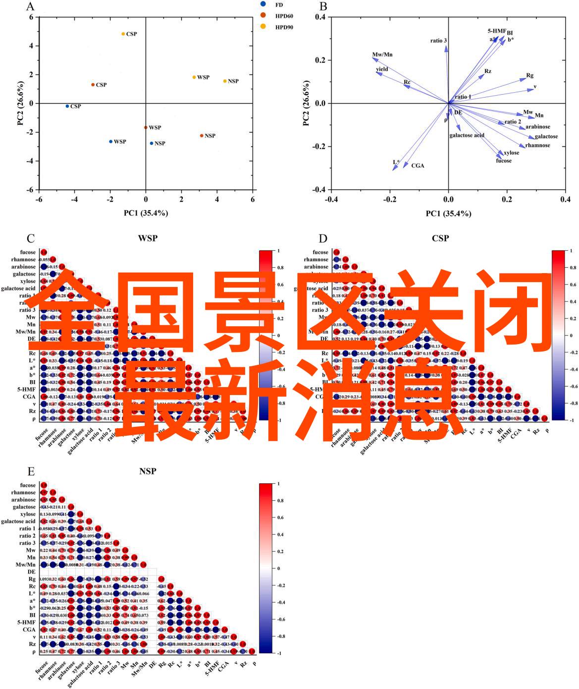 意大利佛罗伦萨艺术与历史交融的城市探索