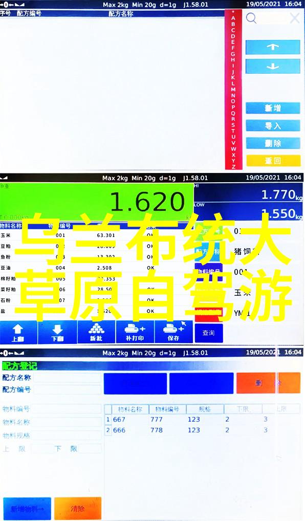 绿茵的欢声公园中的魔法旋转木马