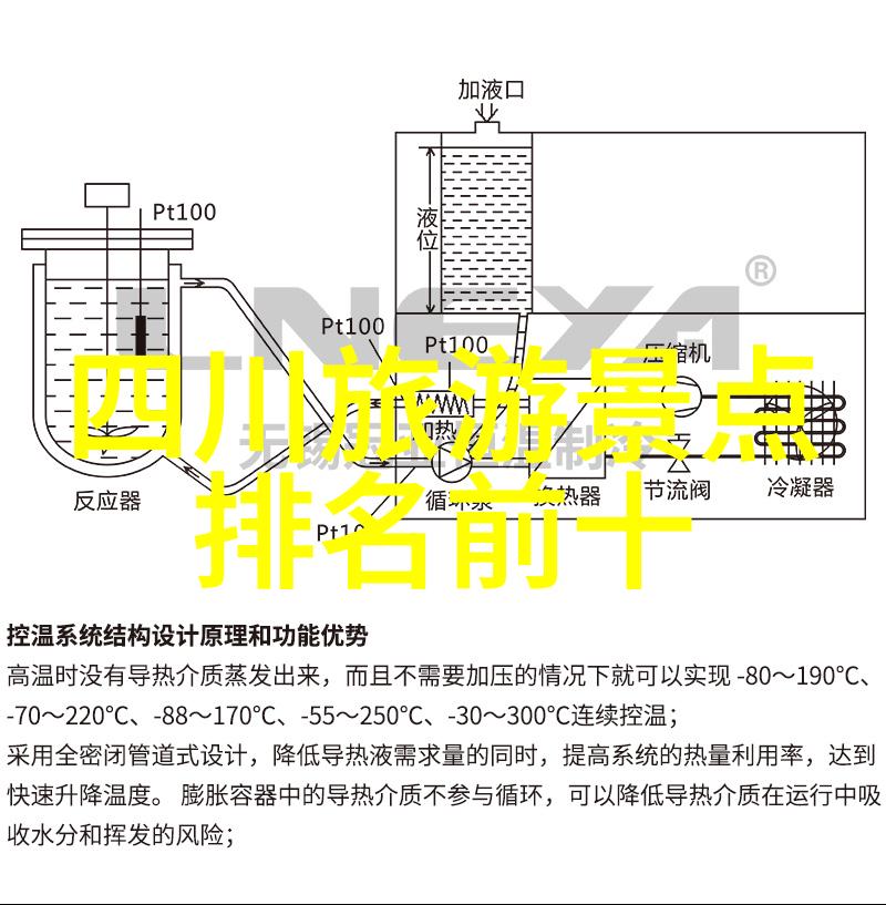 夏日甜蜜草莓桶中的秘密花园