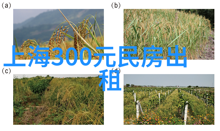 长沙世界文化大观园要门票吗_长沙世界文化大观园要门票吗多少钱