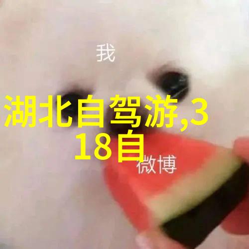 户外活动小游戏-探索自然20款趣味户外活动小游戏