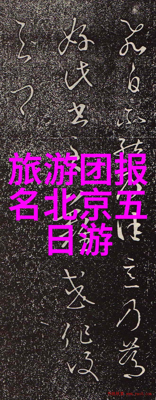 团建趣味游戏户外-旷野探险团队合作的自然课堂