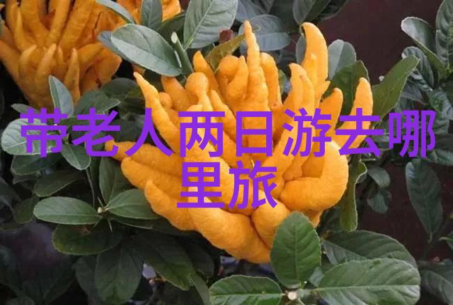 桃花涧探秘2日自助游必逛景点