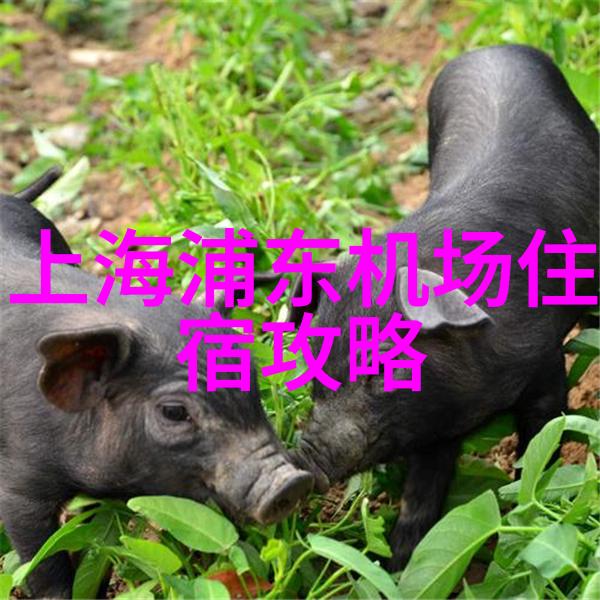 远轴轩古民居