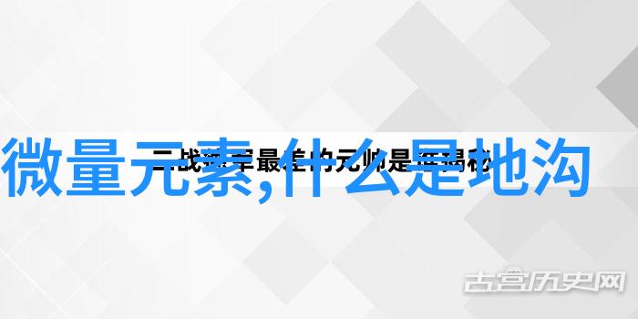 悉尼大学美食探秘揭秘澳洲留学生的饭点风味