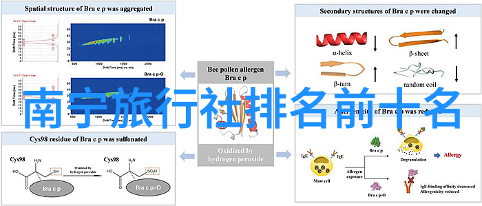 蝴蝶效应小说命运的轻拂