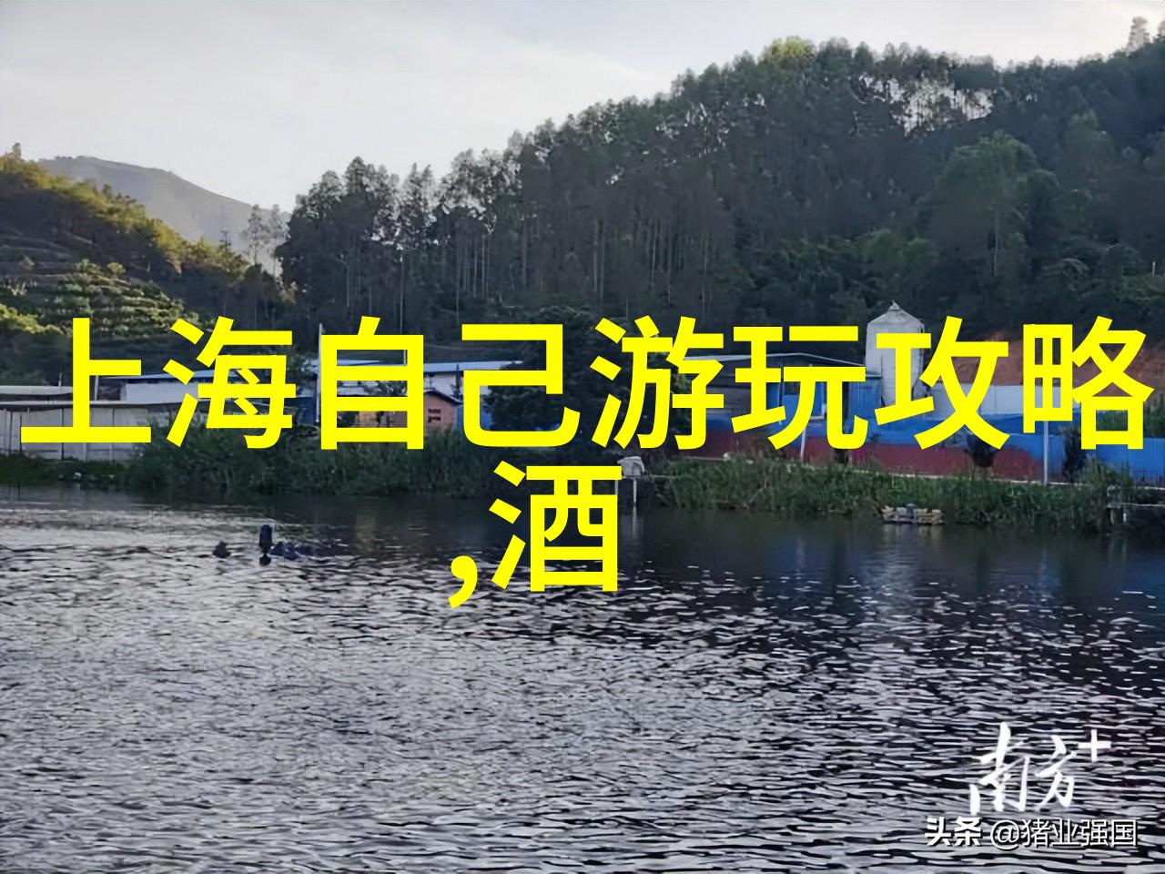 公司团建拓展我们这次的荒岛求生活动真的是一次难忘的体验