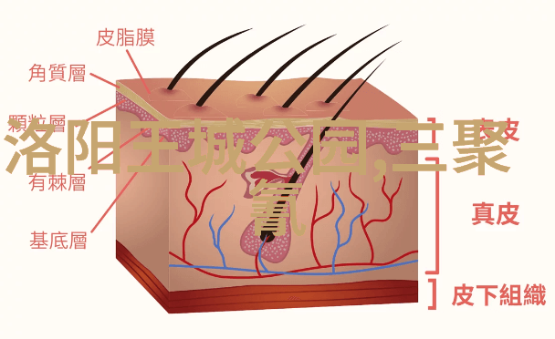 獐岛之旅费用指南与攻略