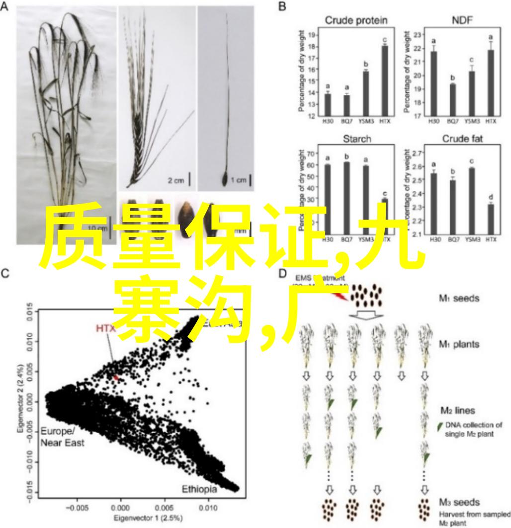 游记400字优秀作文五年级 - 探索奇妙的童话岛五年级学生的精彩游记