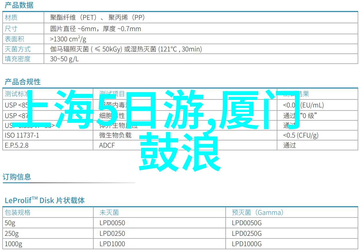 夏绘探索暑期户外活动方案的学术构建与实践应用