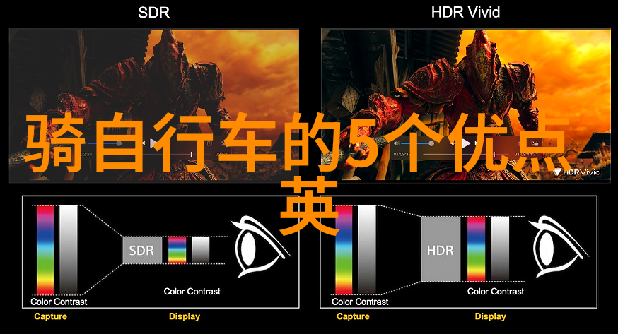 荒岛求生训练如何设计一场模拟求生情况下的合作训练以提高团队合作能力