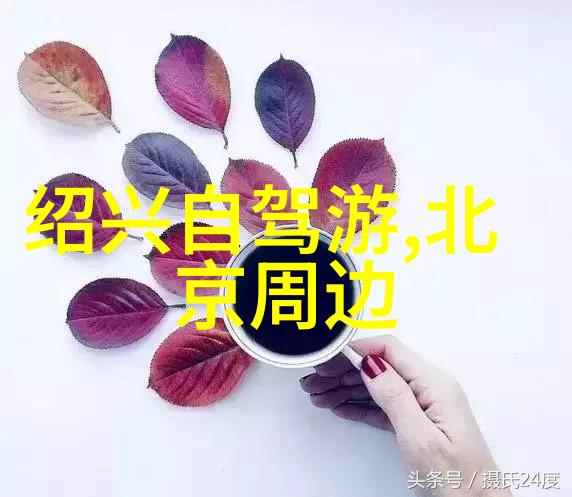 高清免费观看全集深度解析拔萝卜电视剧的魅力与影响