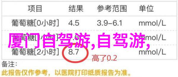 新疆自驾游攻略研究探索文化多样性与自然奇观的旅途