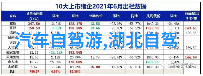 激流攀登山地自行车模拟器的刺激旅程