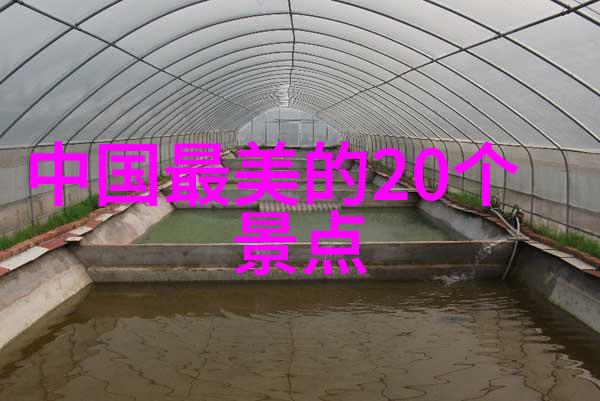 中山长江水世界团队建设活动乐在其中共创美好对偶