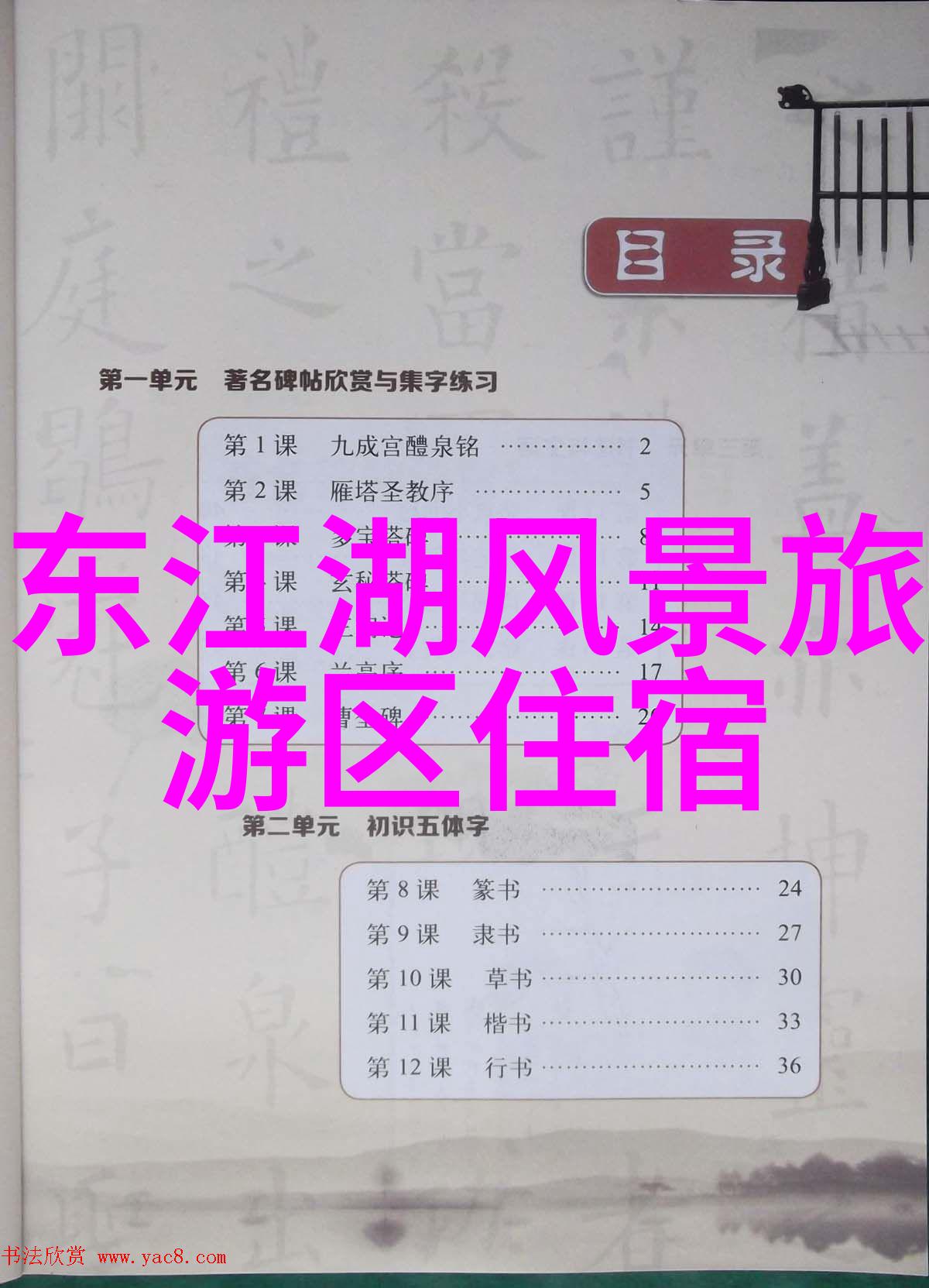 城市游憩的经济效益与可玩性探索全球好玩又不贵的都市案例