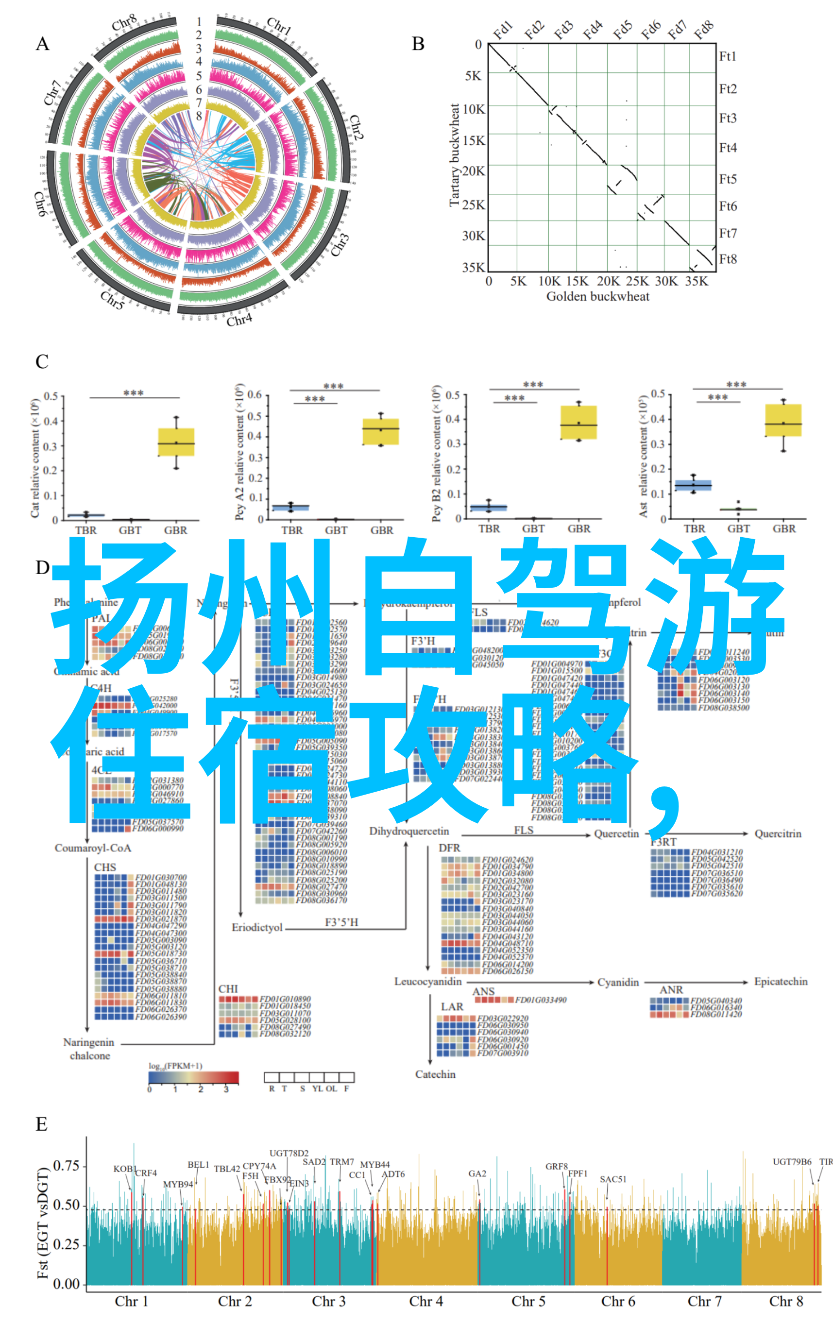 户外活动方案的制定亲自规划一次精彩之旅