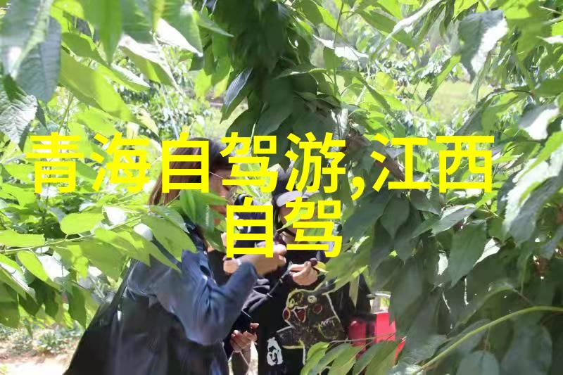 骑行至风的边际探索公路自行车最佳坐姿秘诀