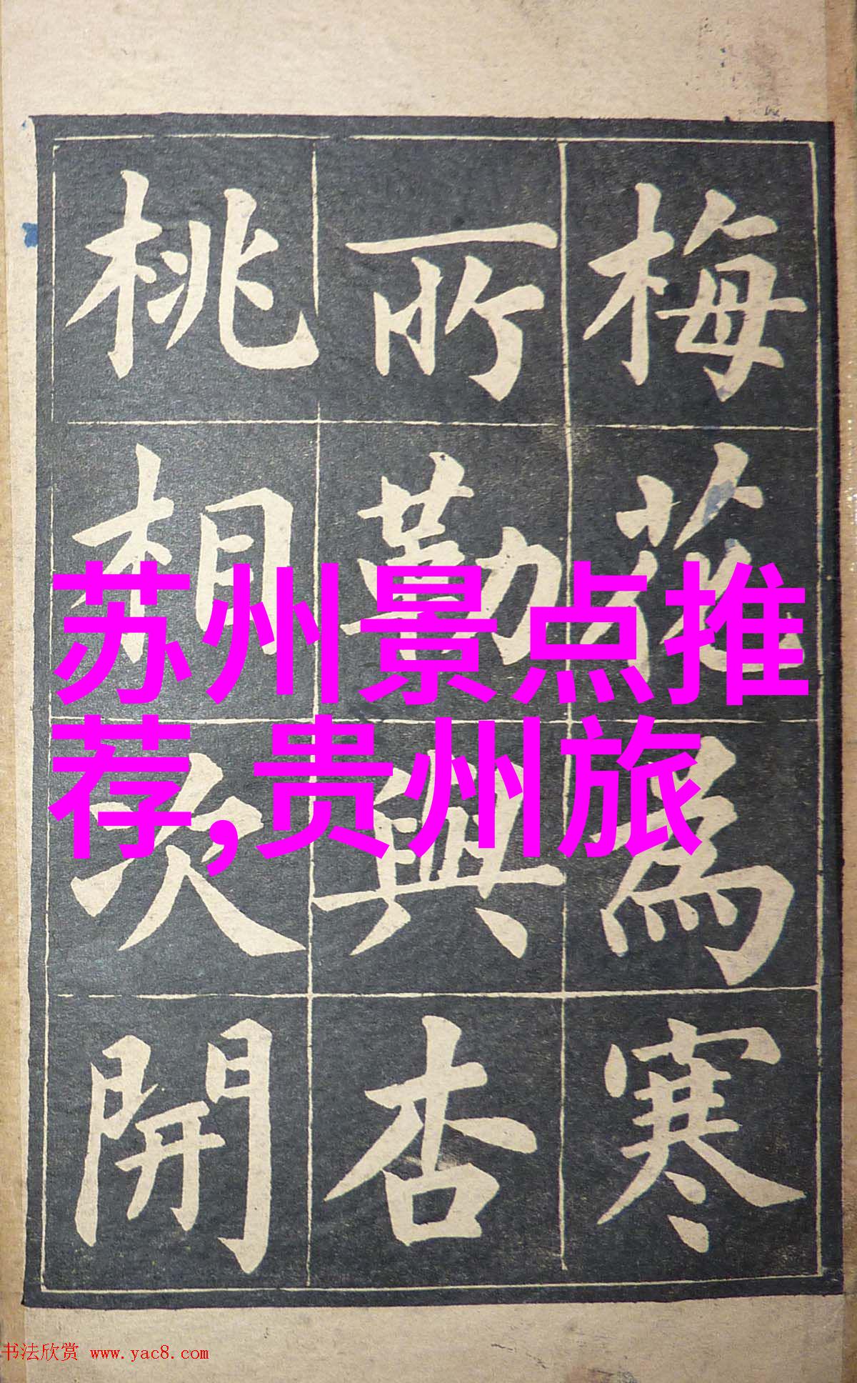 极速骑行4最直的赛道我眼中的速度极速骑行4最直接的挑战