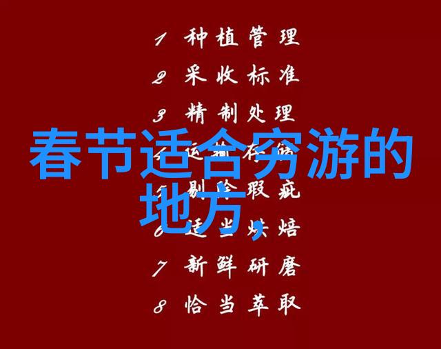 梦幻般的奇遇深入了解100款主题公园设备