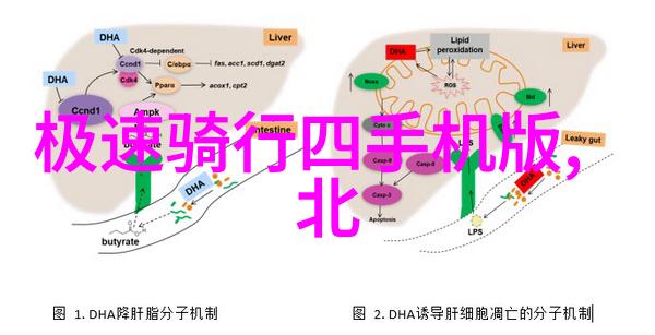 火影忍者中的小樱强禁照忍者的力量与自我约束