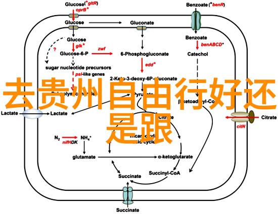 如何合理规划每天活动时间表