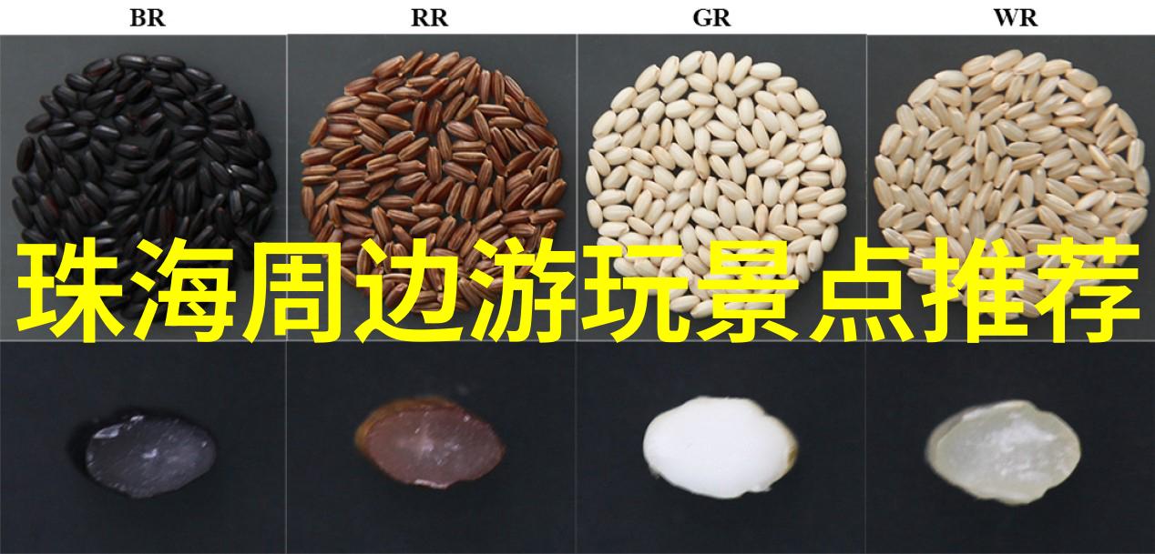 妈妈的朋友4完整有限中的第五章