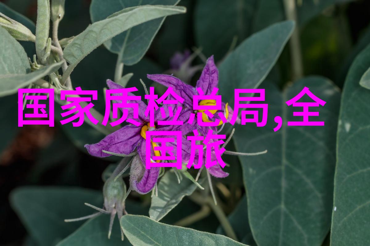 美学公式TXT无删减 - 美的奥秘与数字时代的探索