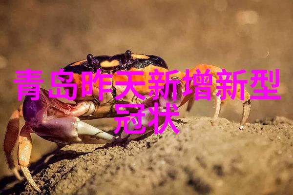 冬日暖阳寻梦畅游中国最佳冬季目的地