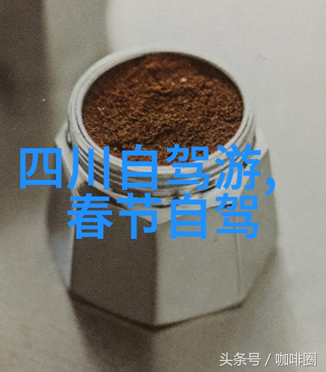 江南美食探秘揭秘南京小吃的正宗之选