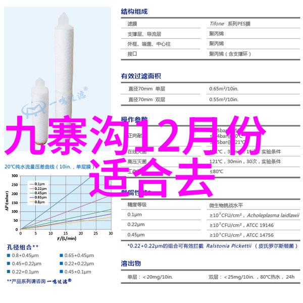 南京行揭秘夫子庙的文化魅力与现代风貌