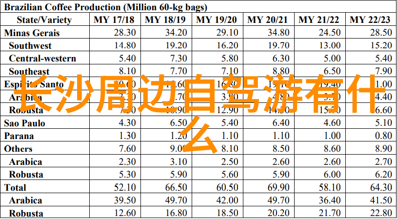 湛江探秘揭秘这座城市隐藏在角落的奇迹之地