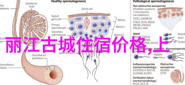 云南梦幻之旅探索大理丽江的古韵与风情