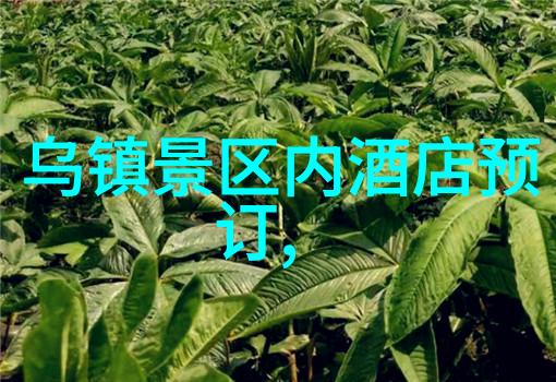 探索平潭岛美海滩自然风光与当地文化的完美融合