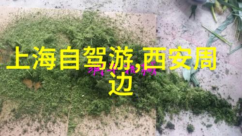 綠意盎然漫步路線圖解析從哪里開始探索那些迷人的森林小径呢