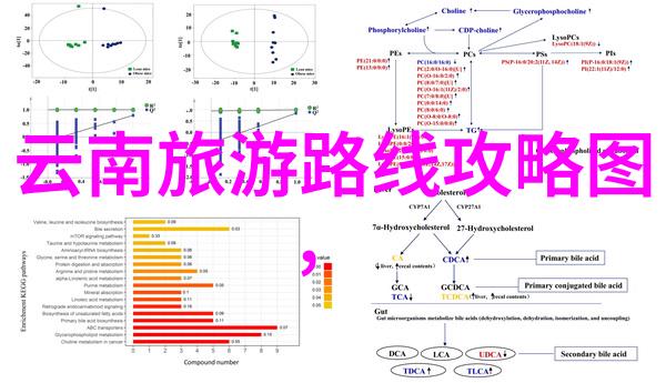 旅游攻略app全国旅游线路及景点穿搭APP神器有哪些