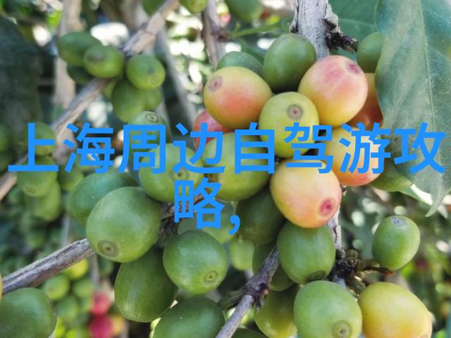 厨房小红书家常菜我的餐桌日记