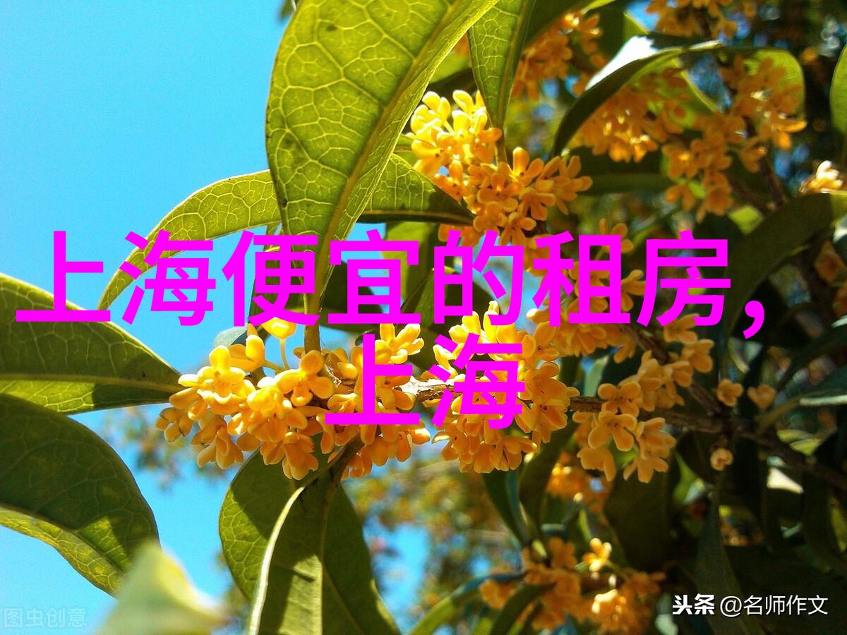 芜湖大白鲸海洋公园产品说明会盛大举办