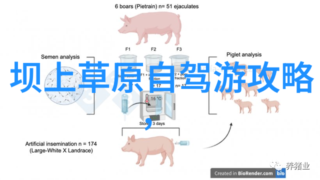 女儿国的迷失历劫俏佳人的复仇之路