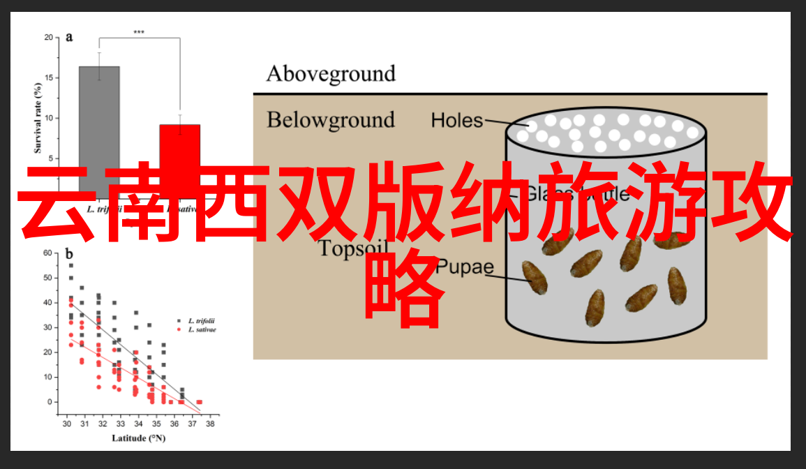 贵州旅游攻略必去景点推荐风情独特的黔东南壮丽的三江并流神秘的九寨沟