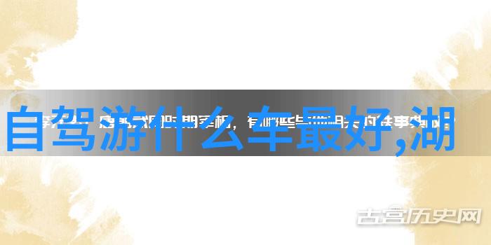 野性呼唤深入森林体验生态自驾游