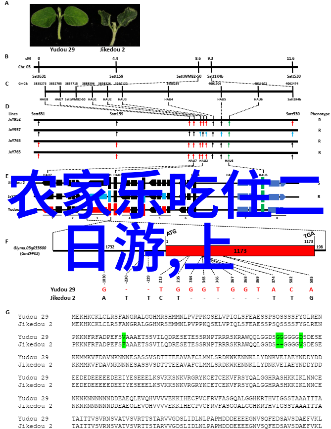 河西范遗址