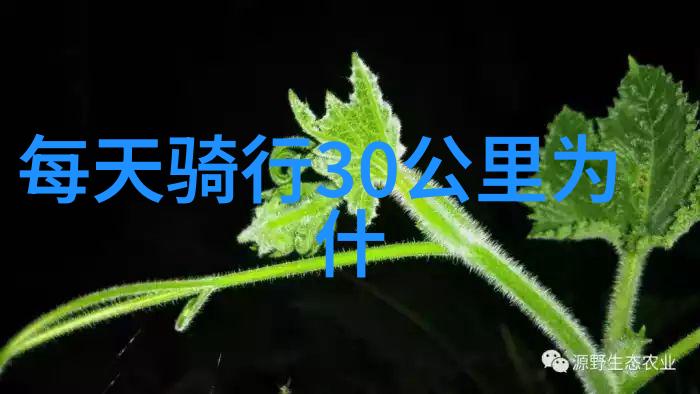 探索美丽大地汽车自驾游的魅力与技巧