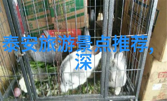 贵阳攻略飞屋环游记教你如何玩转贵阳必打卡地