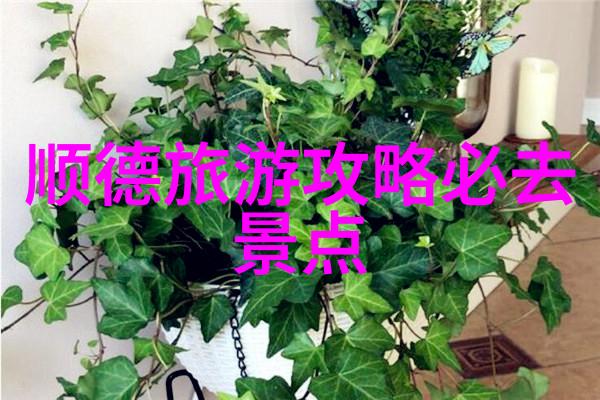 幼儿园集体户外活动有探索自然观察植物动物户外游戏打滚球飞盘户外艺术创作树上绘画泥塑生态保护实践植树造