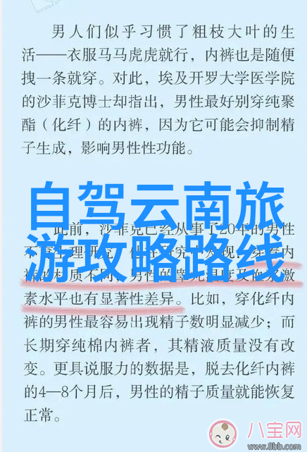 大团圆的书卷之旅全文阅读探秘