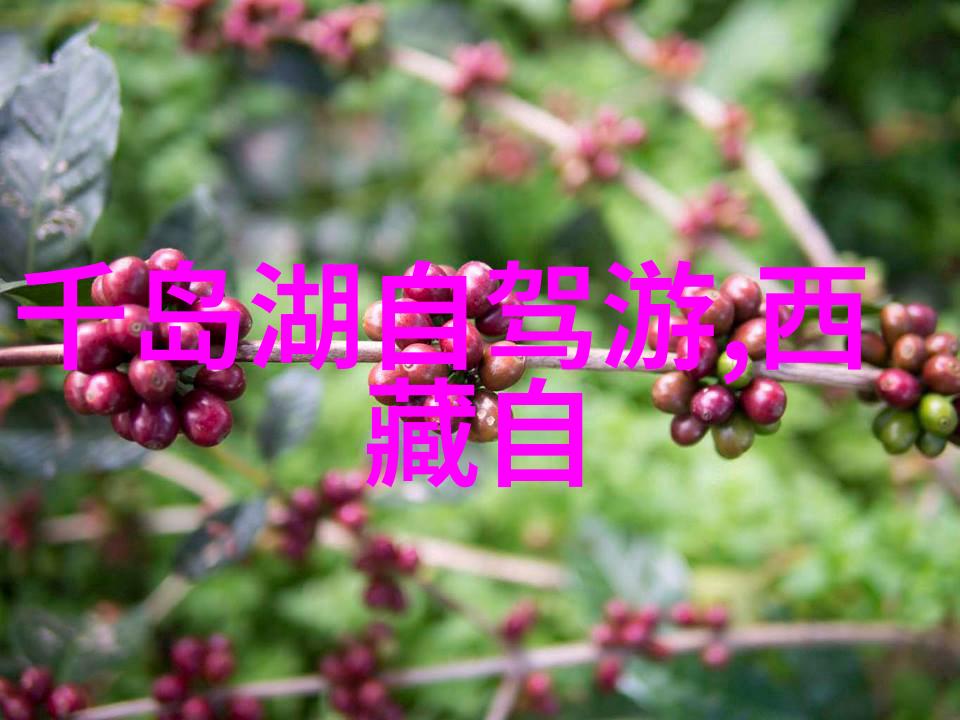 重庆旅游必看景点揭秘美食山水与现代魅力