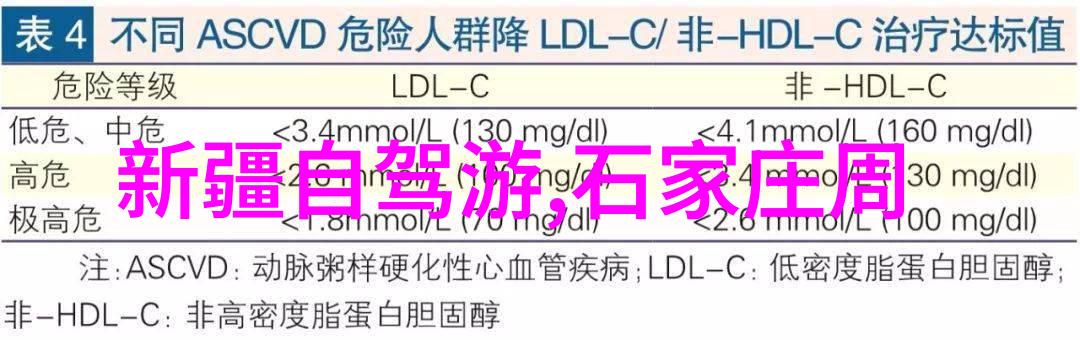 大雁塔下的神秘力量解读唐代佛教文化的深度